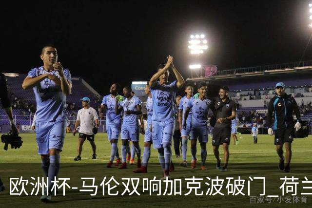 欧洲杯-马伦双响加克波破门 荷兰3-0罗马尼亚